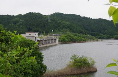 IMGP9107.jpg